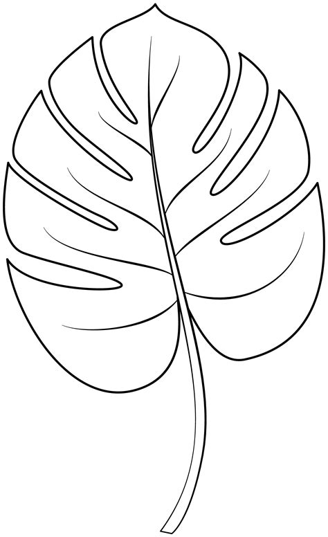 Outline Tropical Leaf Template